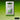 Winsor & Newton Permanent Sap Green Professional Watercolour Half Pan, front view of product with colour swatch as background