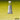 Winsor & Newton Olive Green Professional Watercolour, front view of product with colour swatch as background
