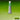 Winsor & Newton Permanent Sap Green Professional Watercolour 14ml, front view of product with colour swatch as background