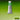 Winsor & Newton Permanent Sap Green Professional Watercolour, front view of product with colour swatch as background