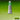 Winsor & Newton Permanent Sap Green Professional Watercolour, front view of product with colour swatch as background