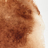 professional-watercolour-burnt-umber