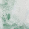 professional-watercolour-terre-verte