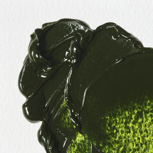 Winton Oil Colour - Sap Green