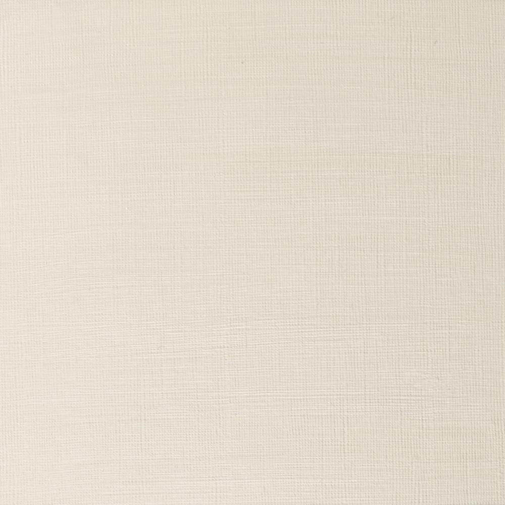 Artists' Oil Colour Iridescent White US Winsor & Newton EU