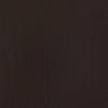 professional-acrylic-burnt-umber