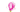 How to paint a flower with watercolour