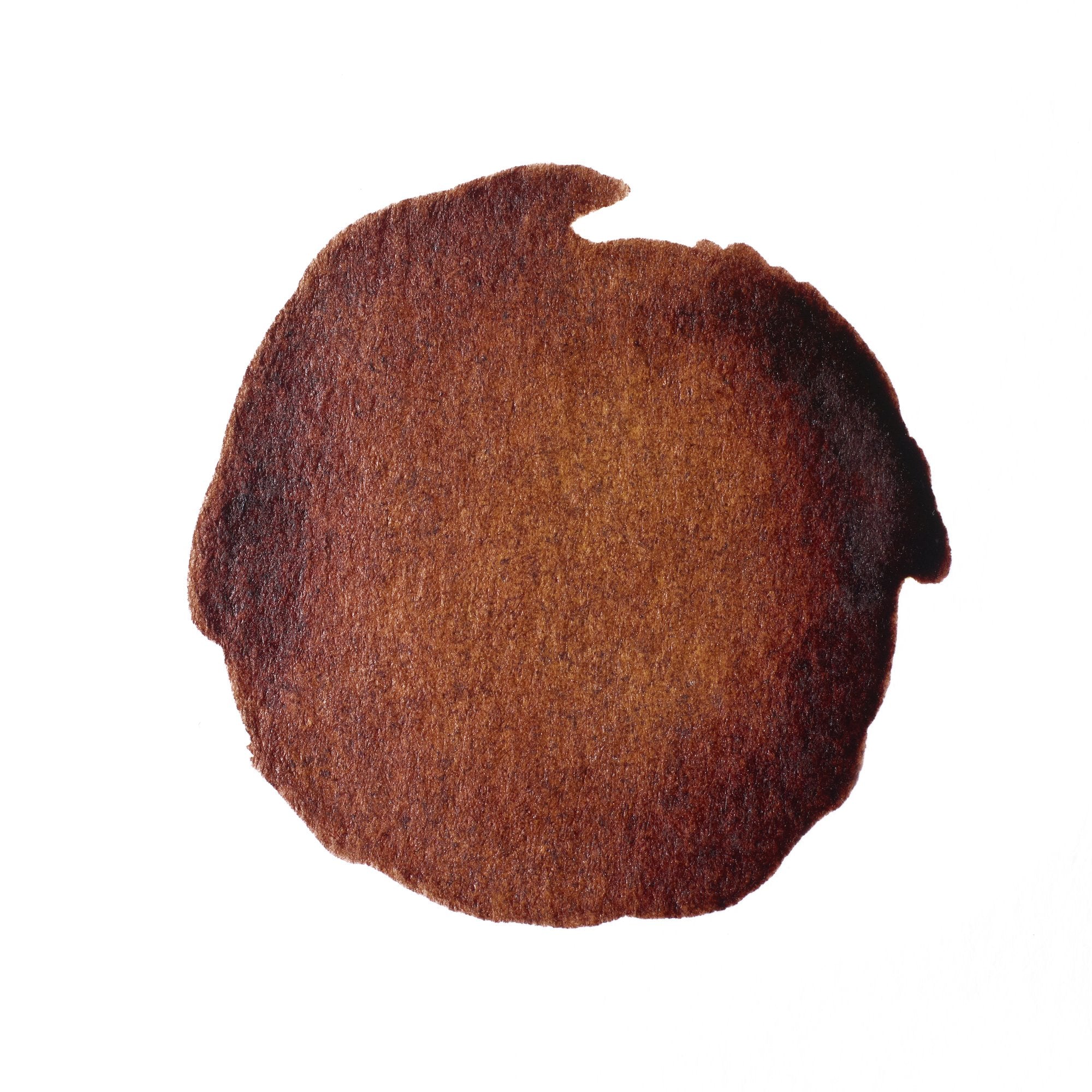 Drawing Ink - Nut Brown – Winsor & Newton EU