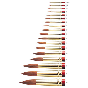 Sceptre Gold ll - Series 101, Round Brush