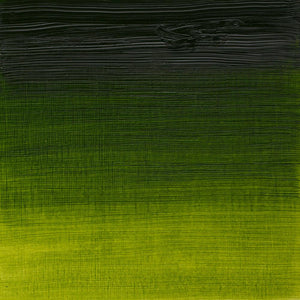 Artists' Oil Colour - Sap Green