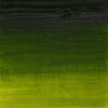 artists-oil-colour-sap-green